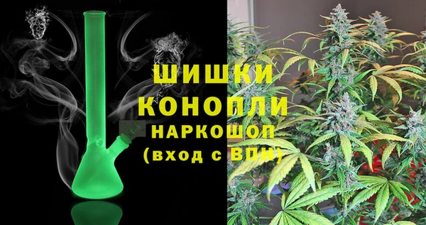 ГАЛЛЮЦИНОГЕННЫЕ ГРИБЫ Лабытнанги