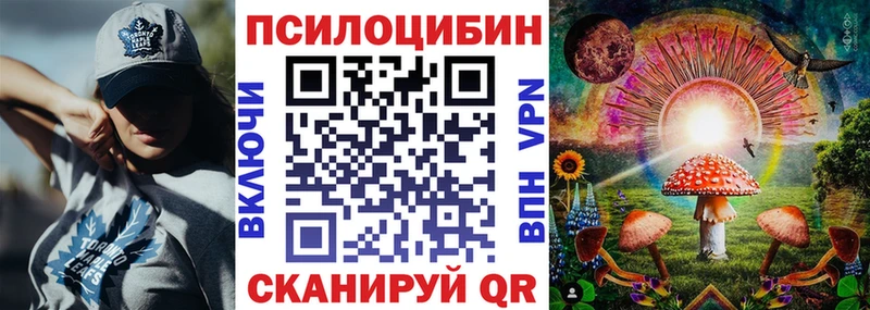 Галлюциногенные грибы Psilocybe  Сурск 